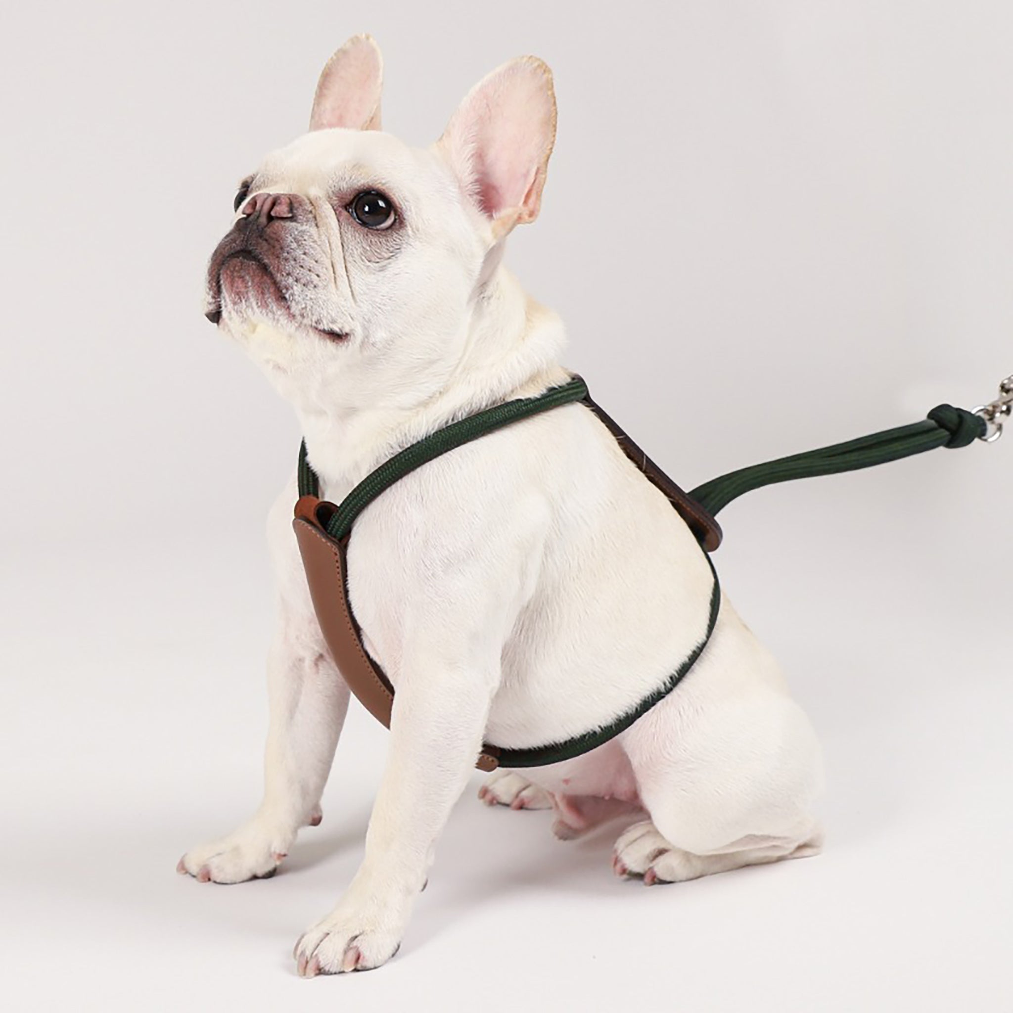 ESSENTIAL HARNESS – Hozi US
