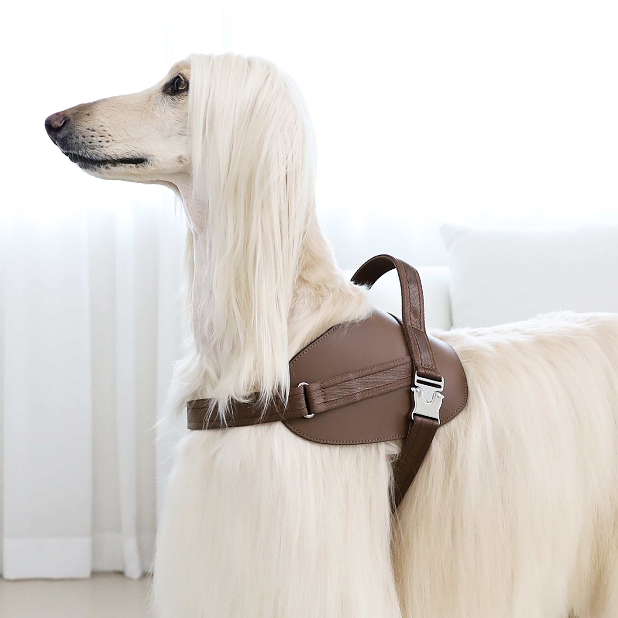 Saddle Harness : Pink – Hozi US