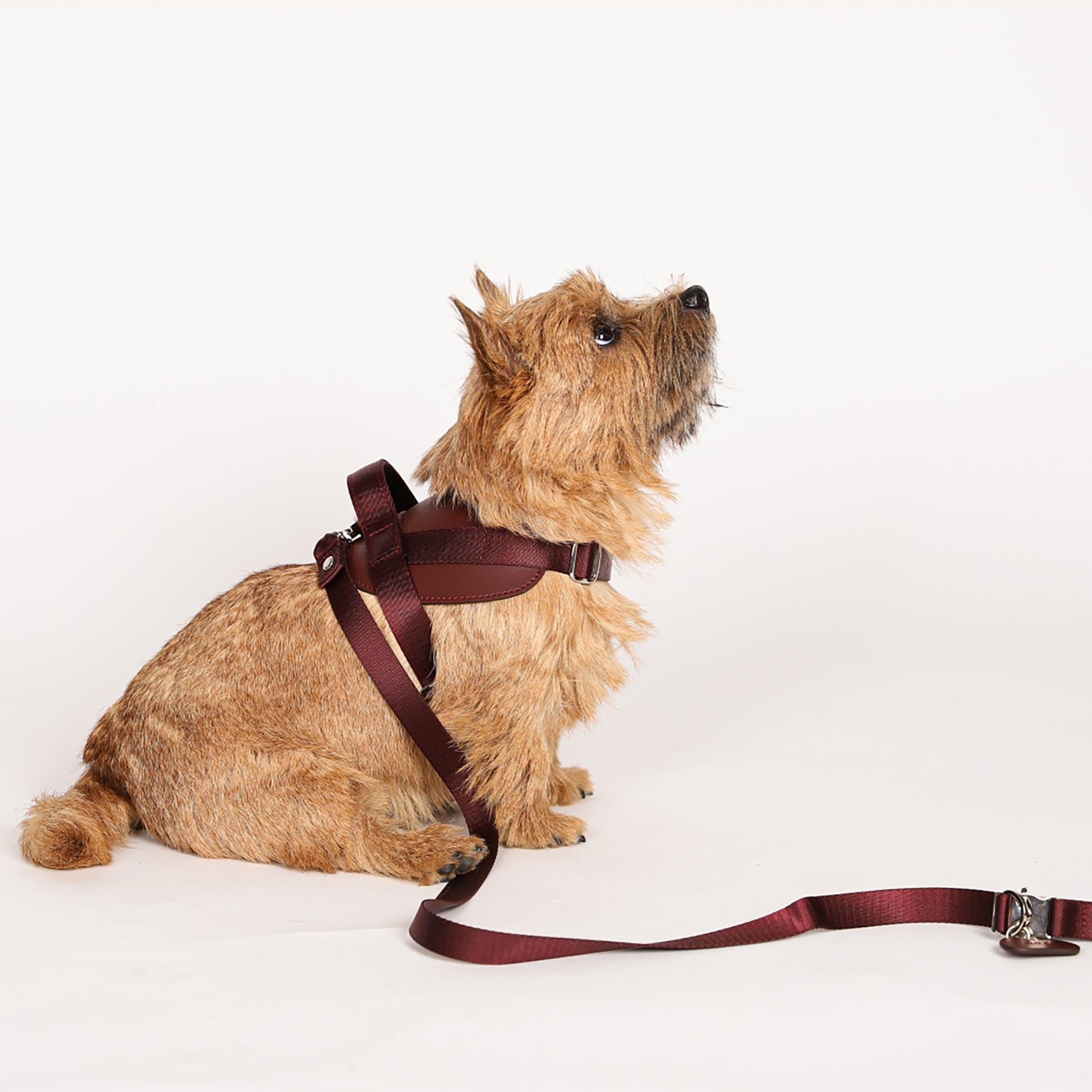Saddle Harness : Burgundy – Hozi US