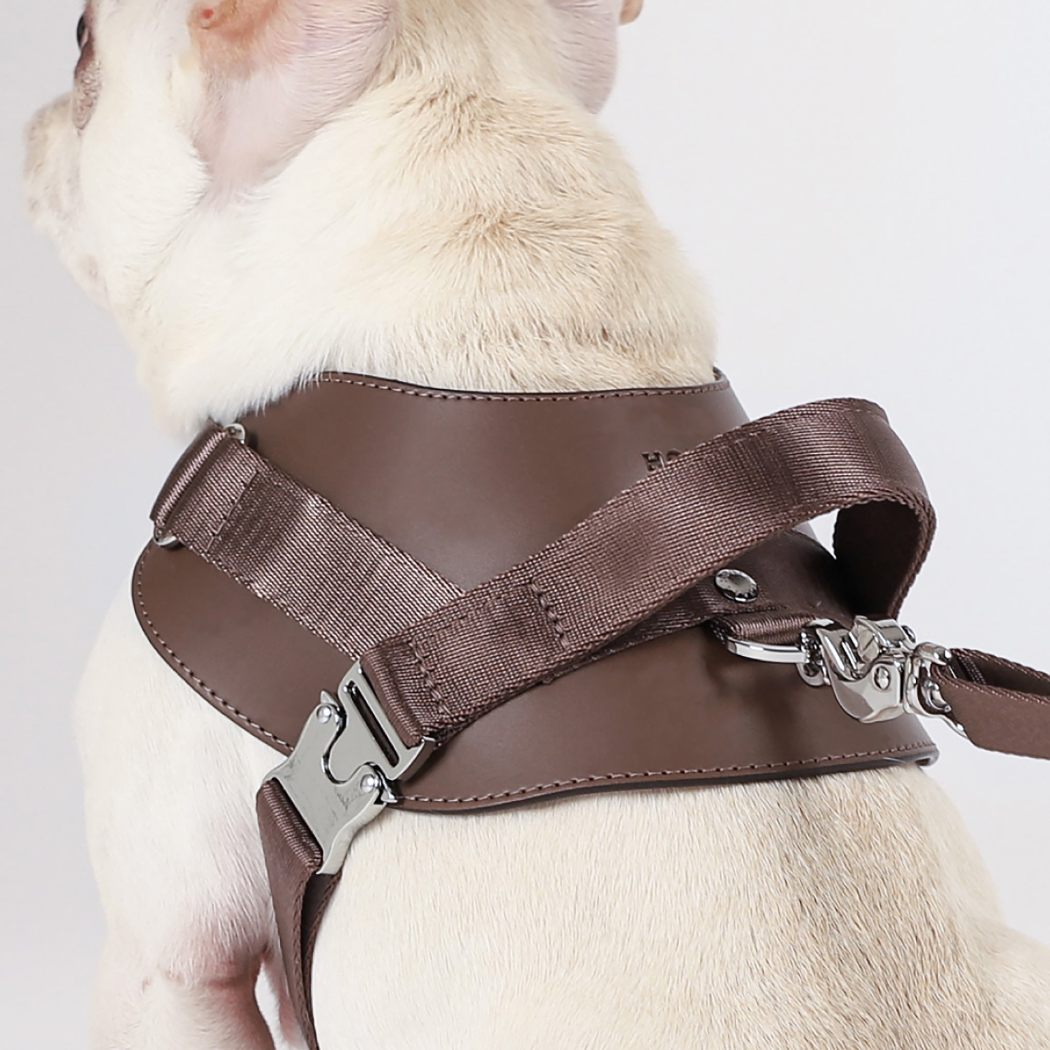 Saddle Harness : Mocha – hozi