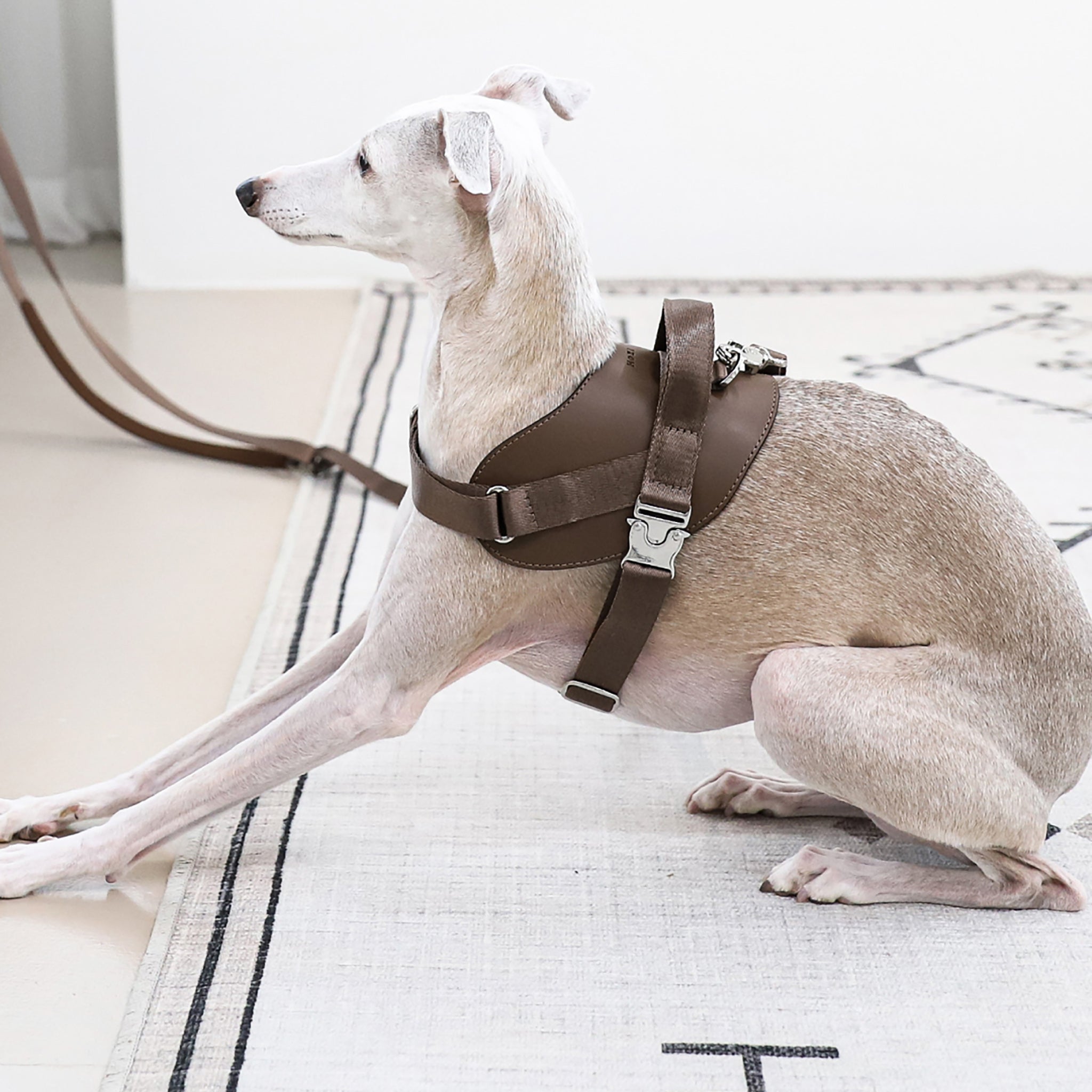 Saddle Harness : Pink – Hozi US