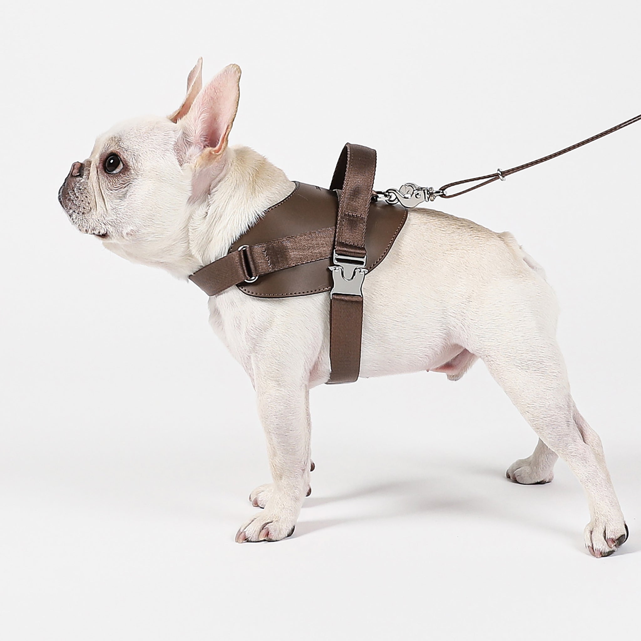 Saddle Harness : Pink – Hozi US