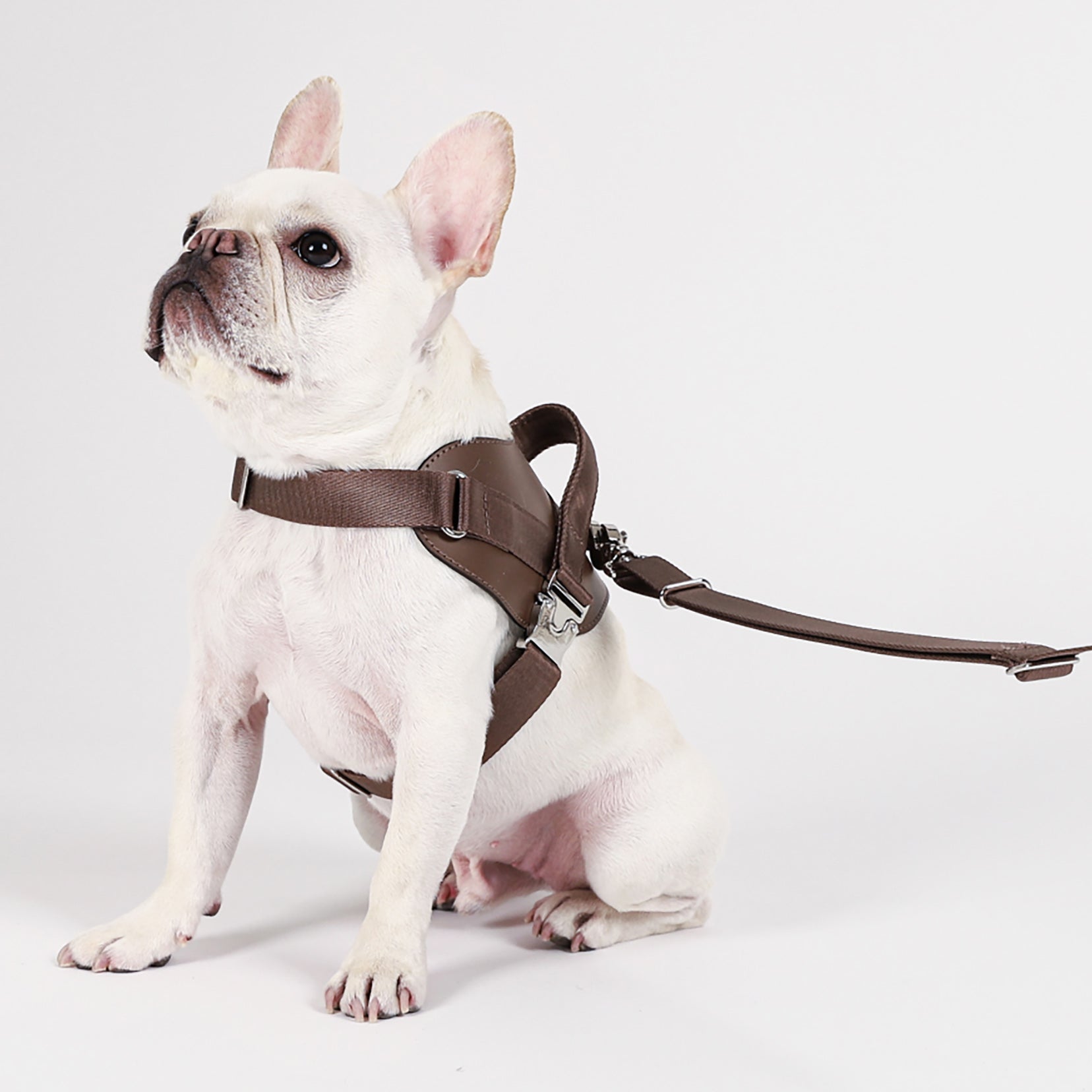 Saddle Harness : Mocha – Hozi US