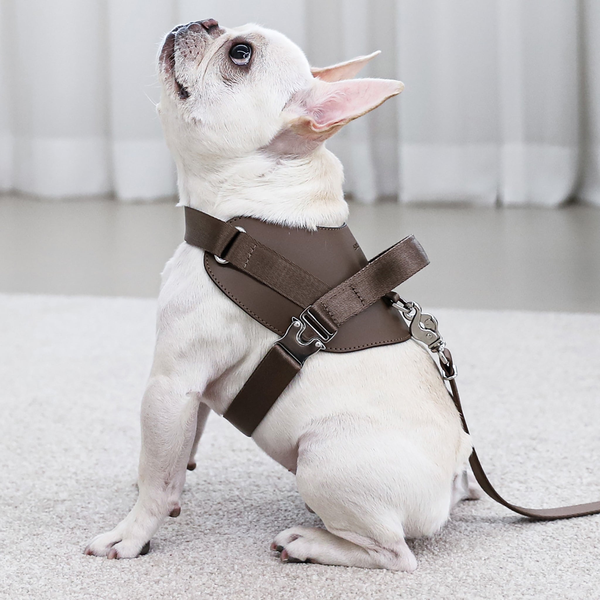 Saddle Harness : Pink – Hozi US