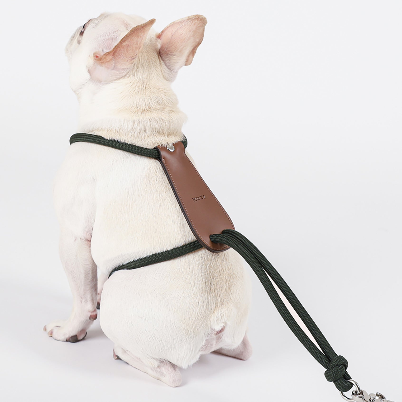 Essential Harness - Deep Green – hozi