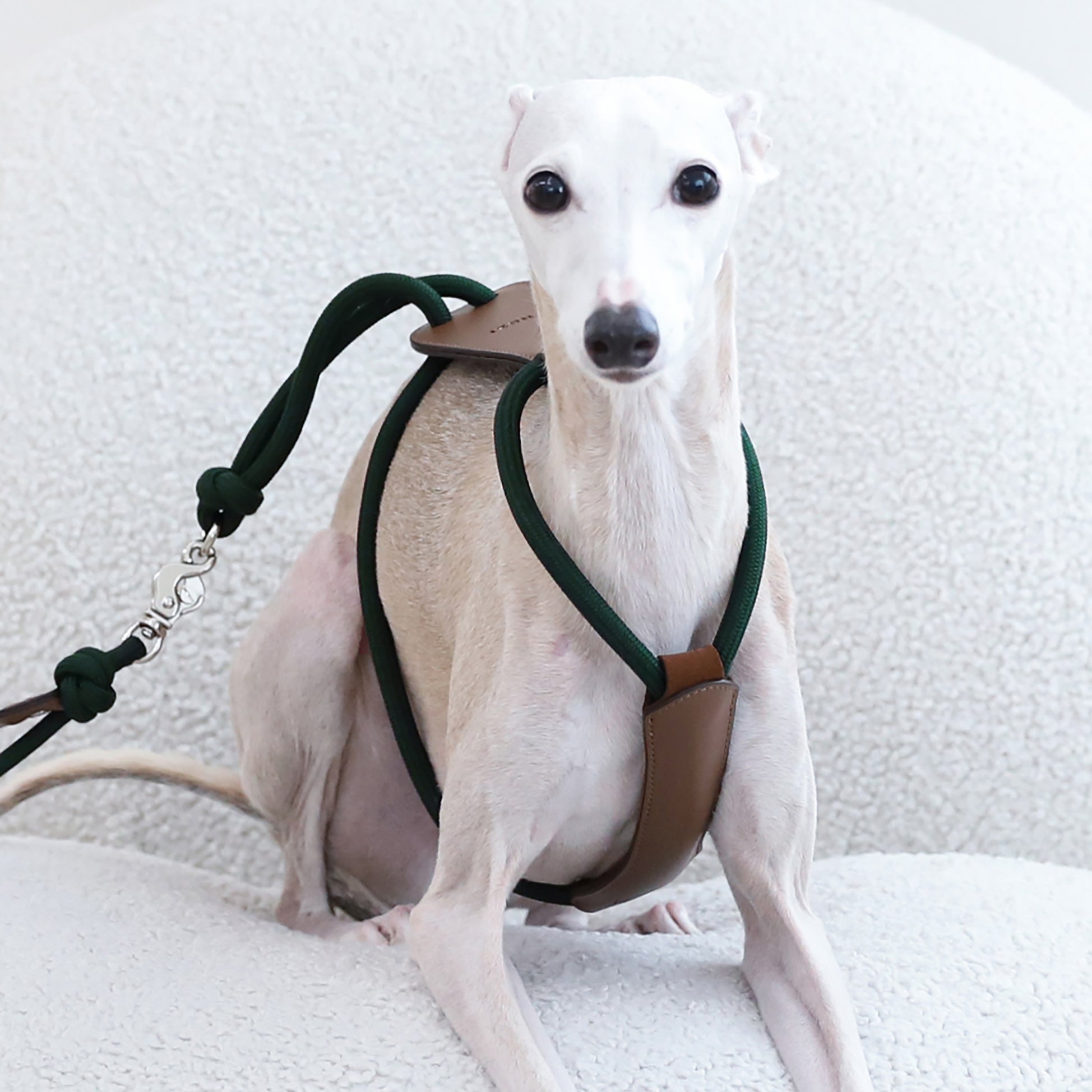 Essential Harness - Deep Green – hozi