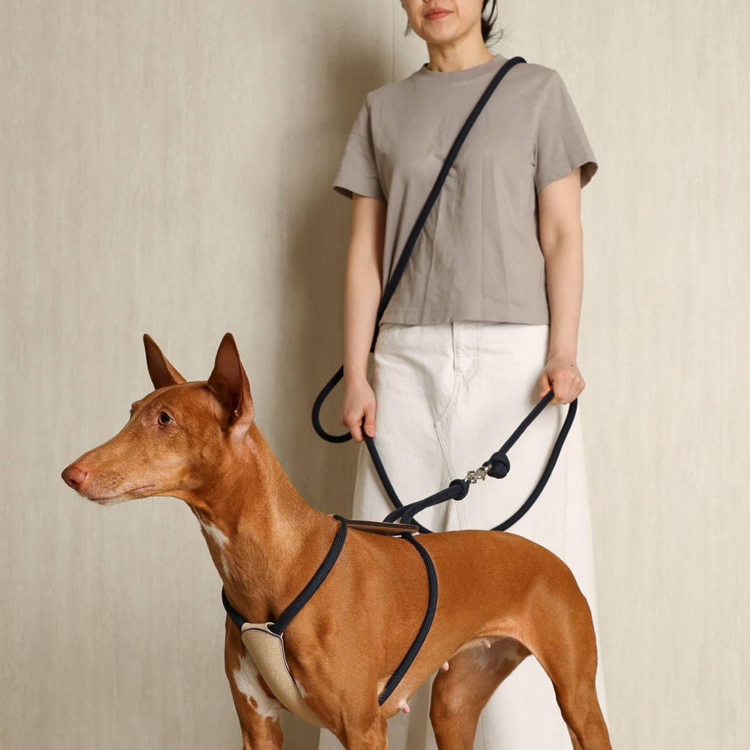 3way Hands Free Leash - Navy – Hozi US