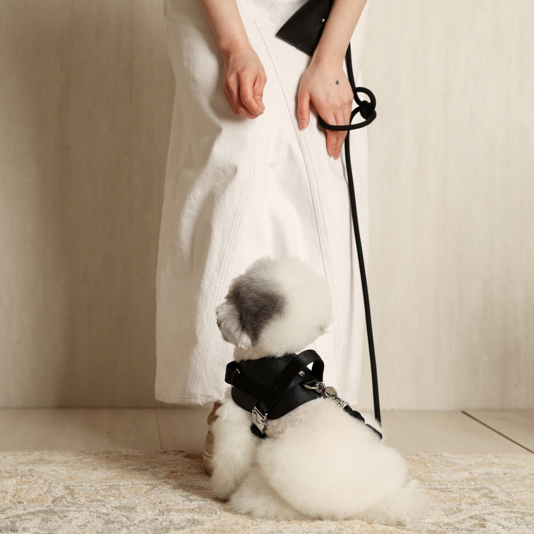 3way Hands Free Leash - Black – Hozi US