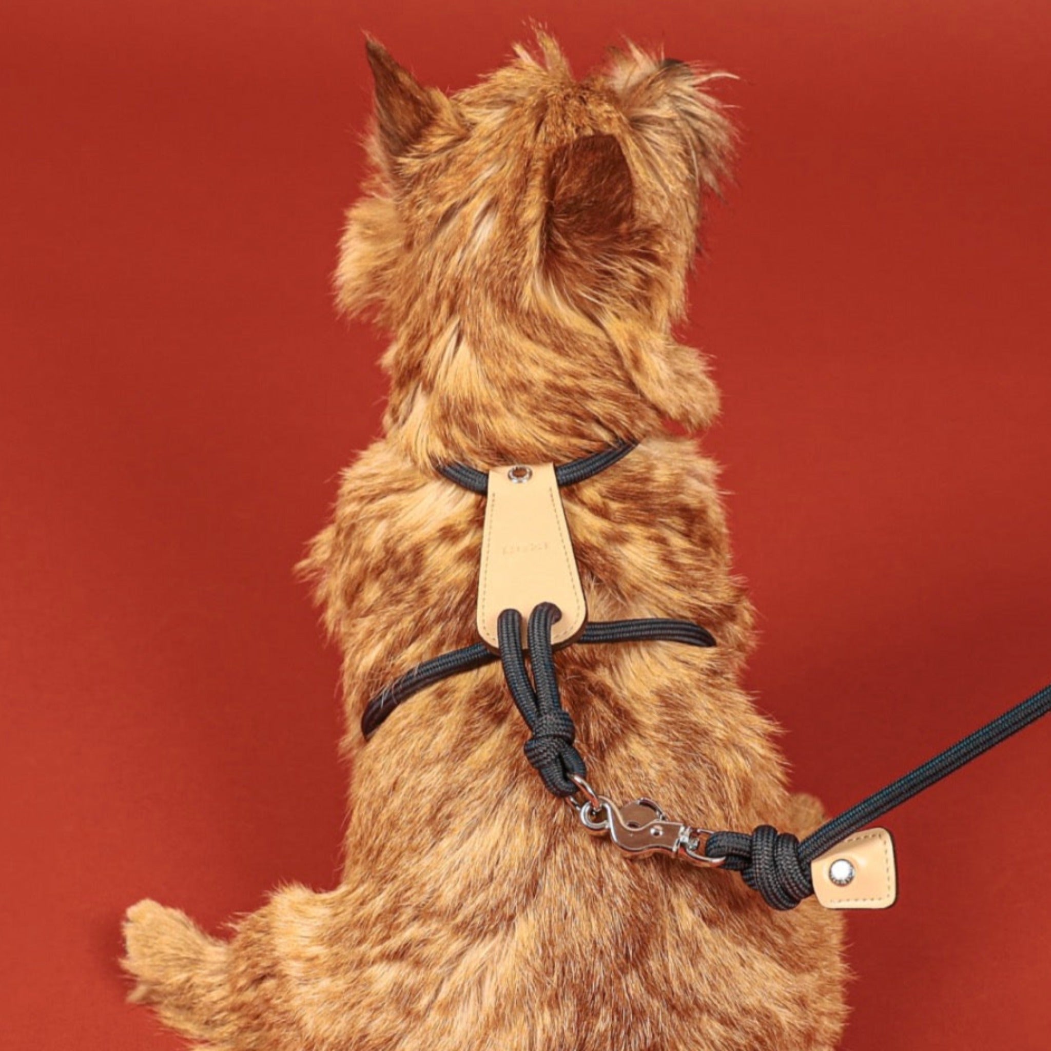 HOZI Essential Harness ブラック　Sサイズ Essential Harness - Black – hozi