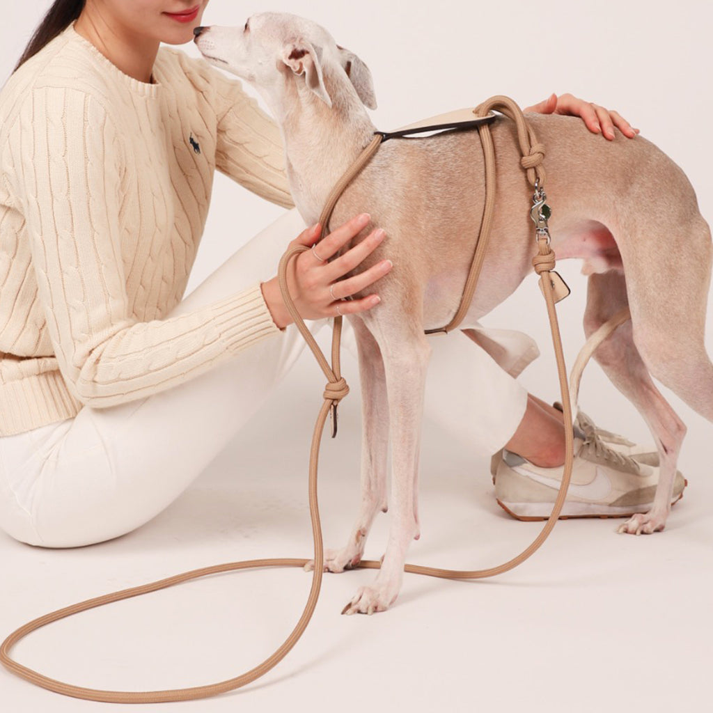 ◆HOZI◆Essential Leash◆2SIZE◆4COLOR◆正規品 Essential Leash - Black – hozi