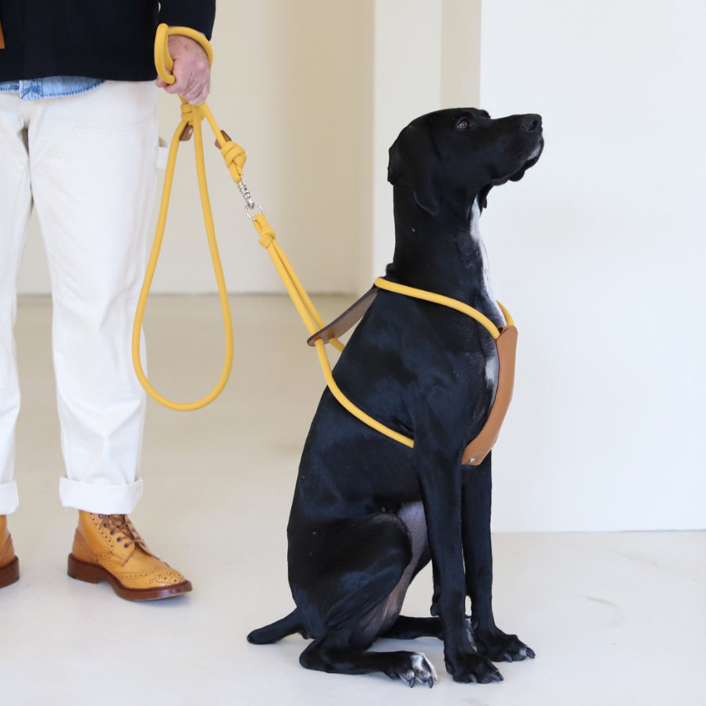 Essential Leash Mustard