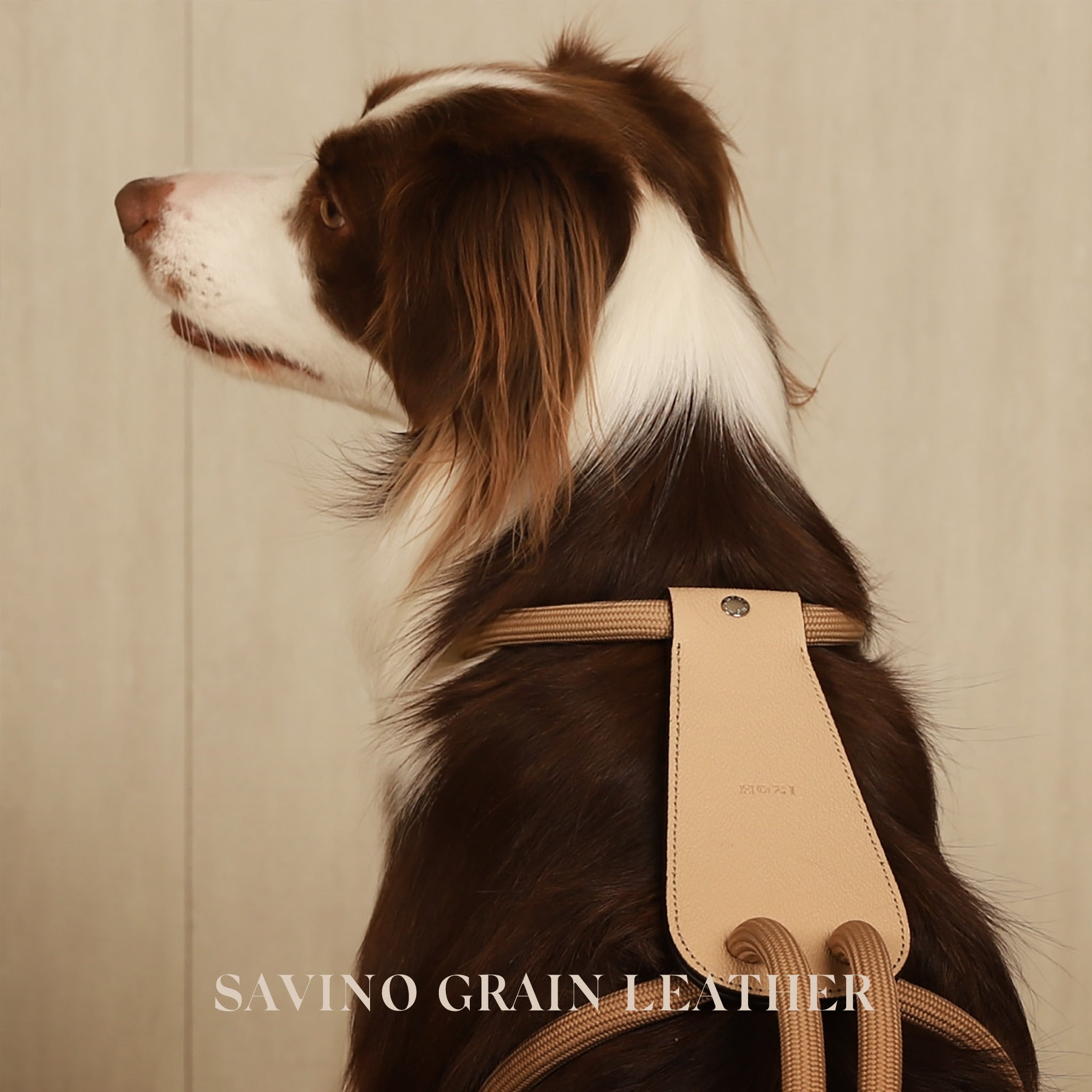 Essential Harness - Beige – Hozi US