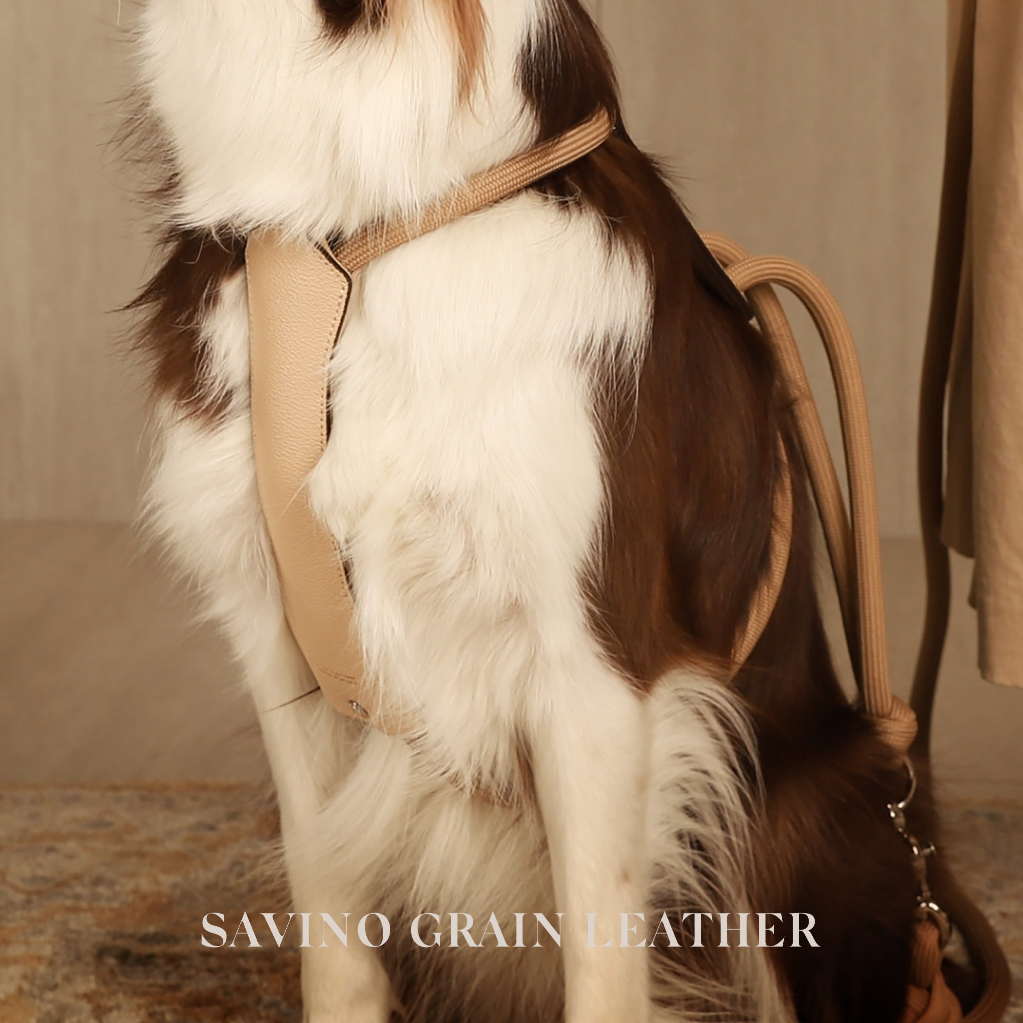 Essential Harness - Beige – Hozi US