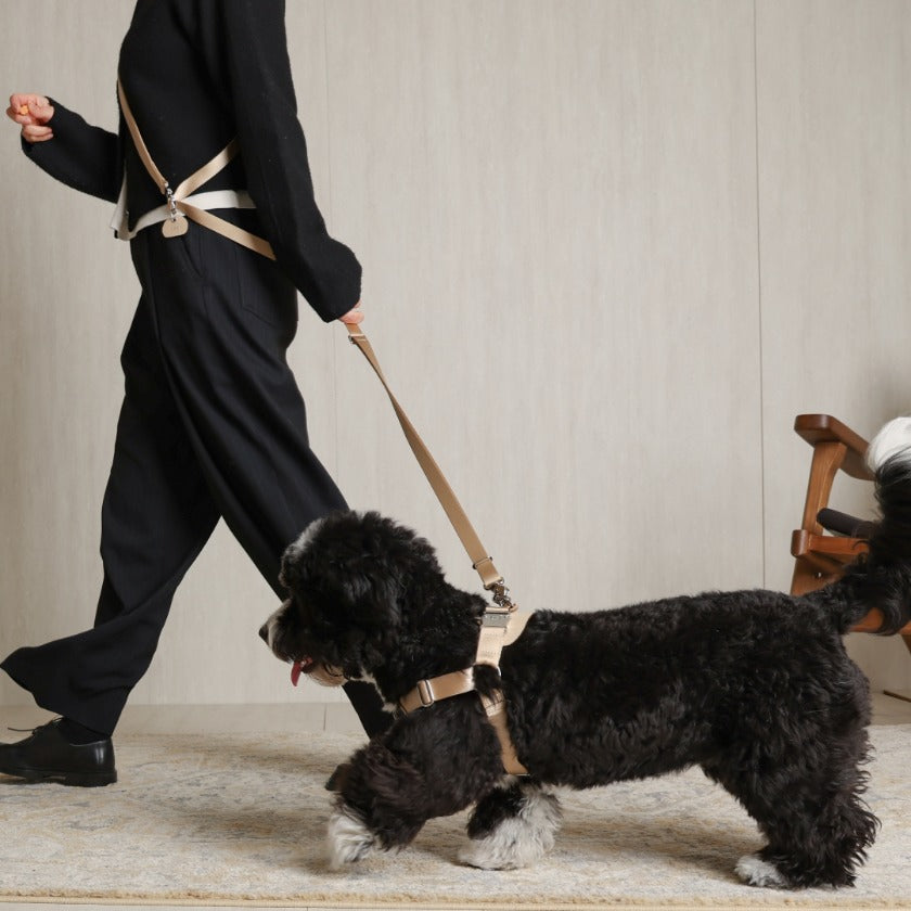Saddle Hands-free Leash : Beige – Hozi US