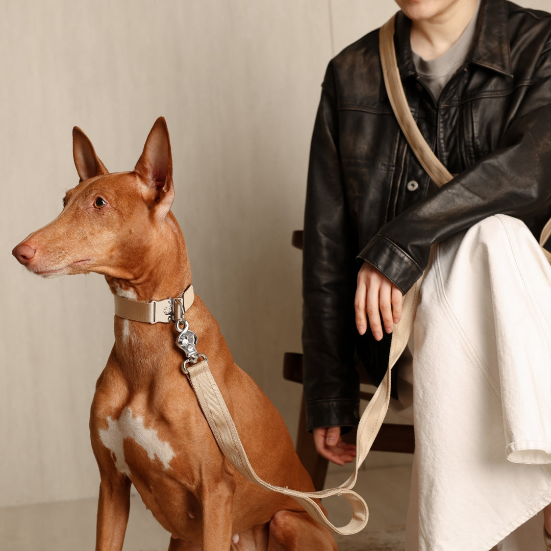 Saddle Hands-free Leash : Beige – Hozi US