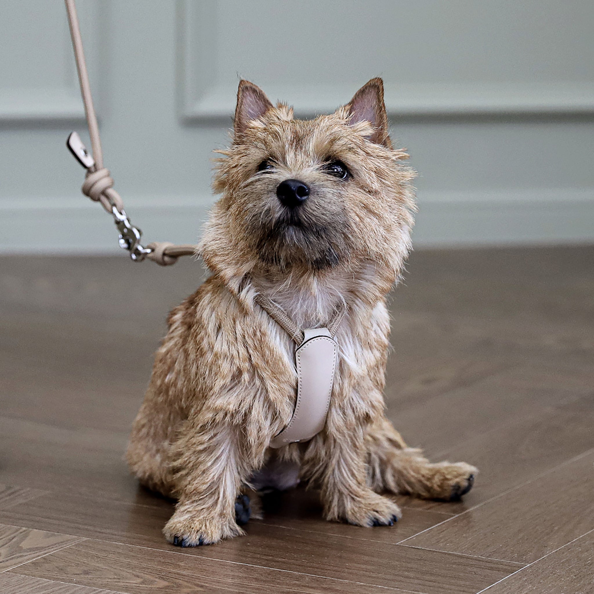 Essential Harness - Beige – hozi