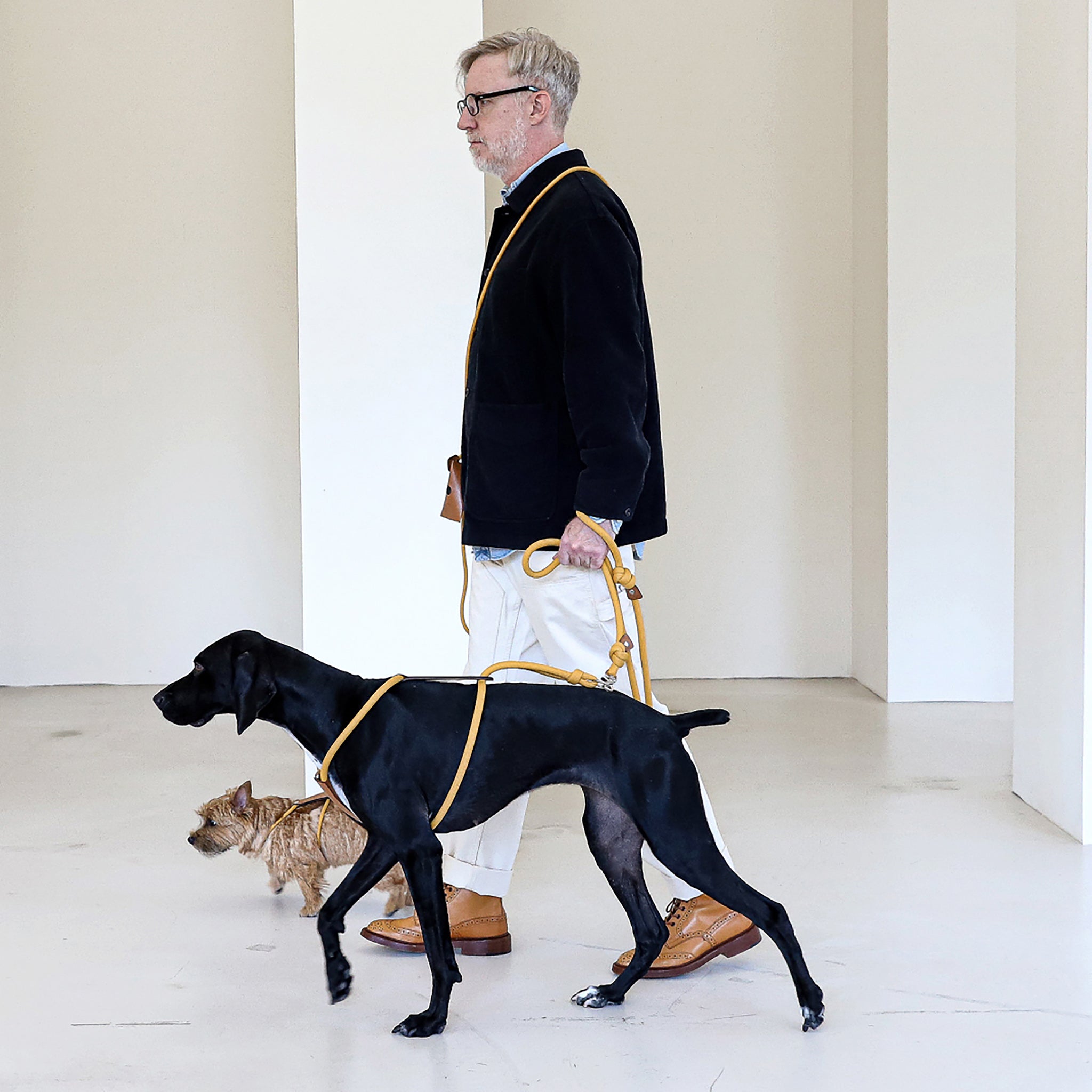 Essential Harness - Mustard – hozi