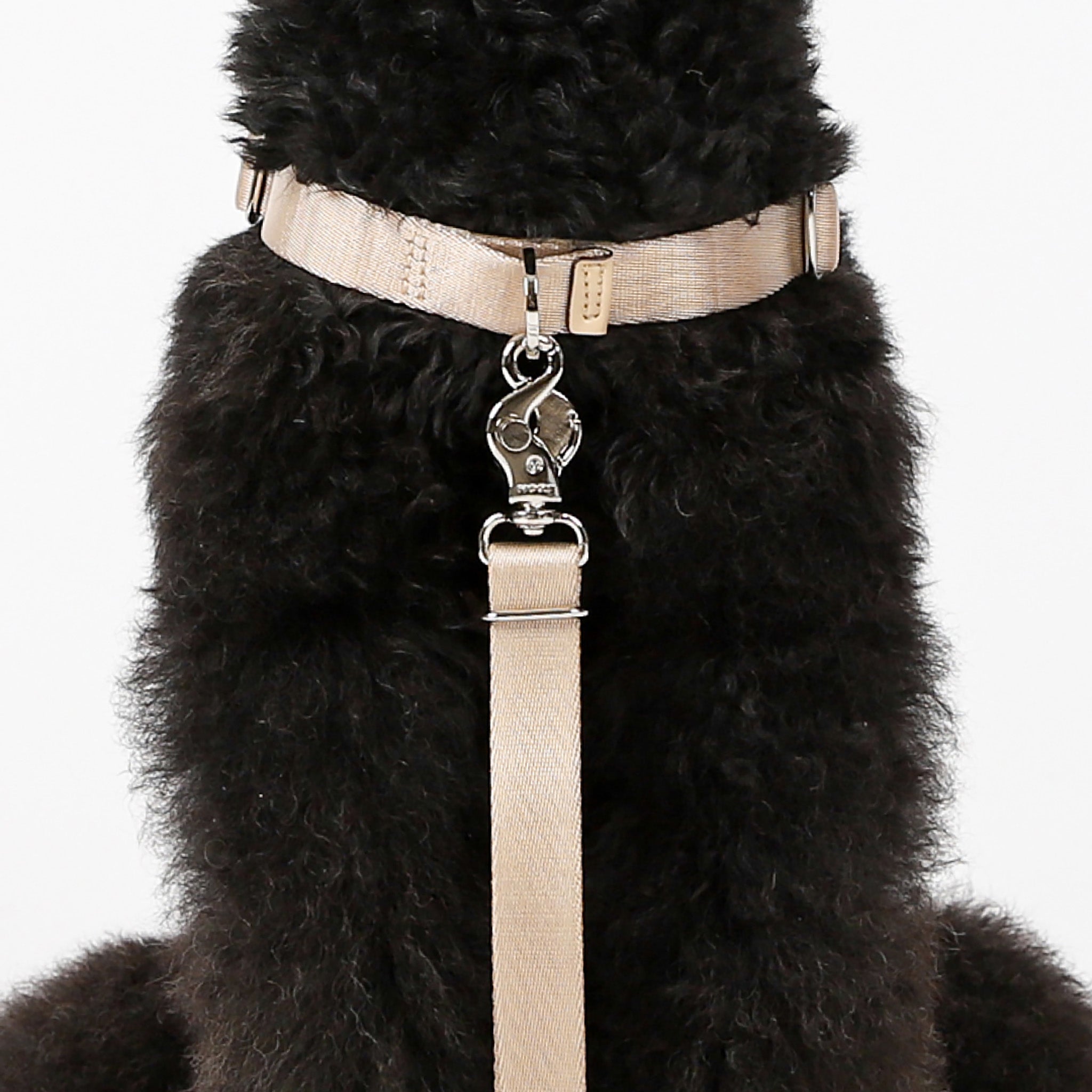 Horsebit Harness : Camel – hozi