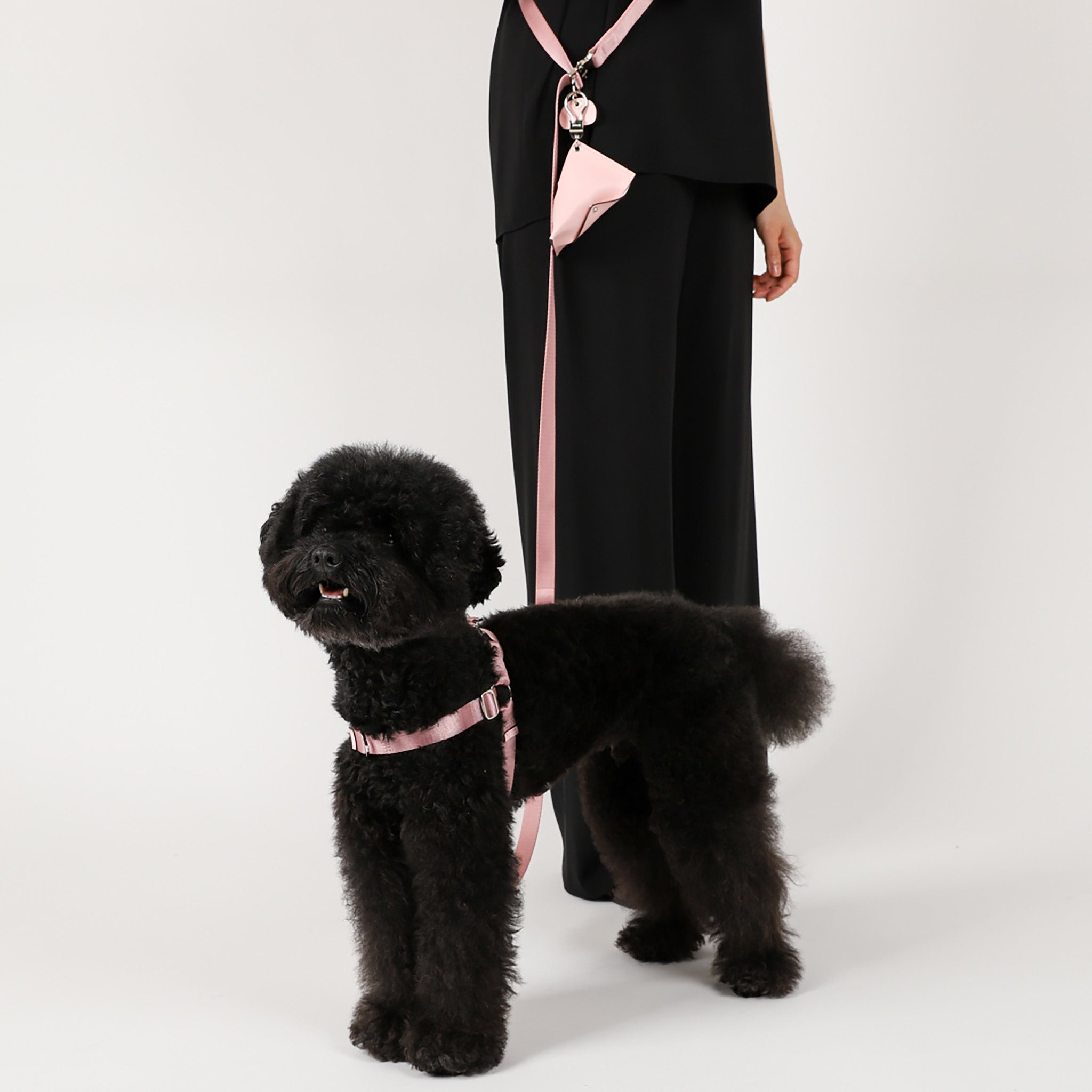 Horsebit Harness : Black – hozi