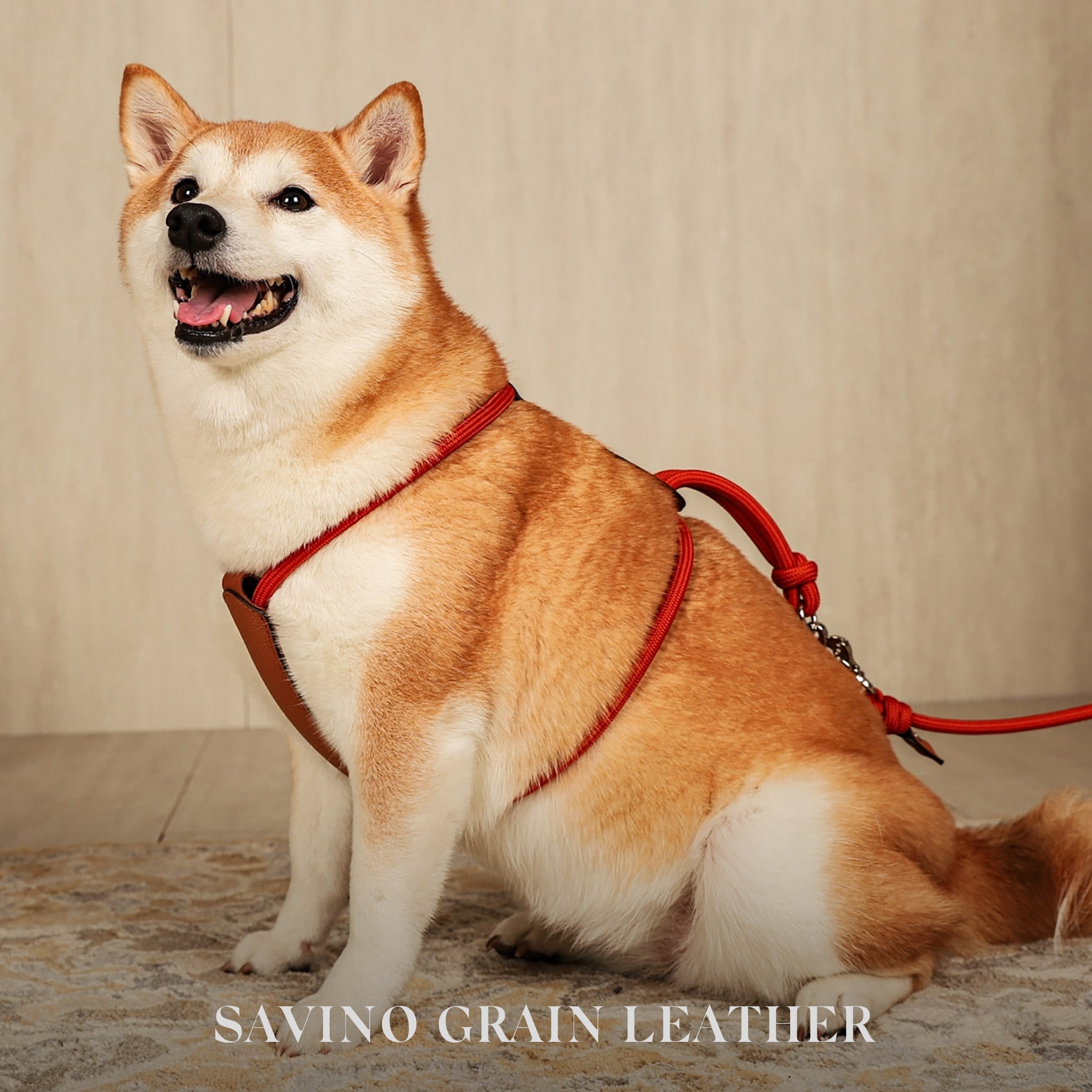 Essential Harness - Orange – Hozi US