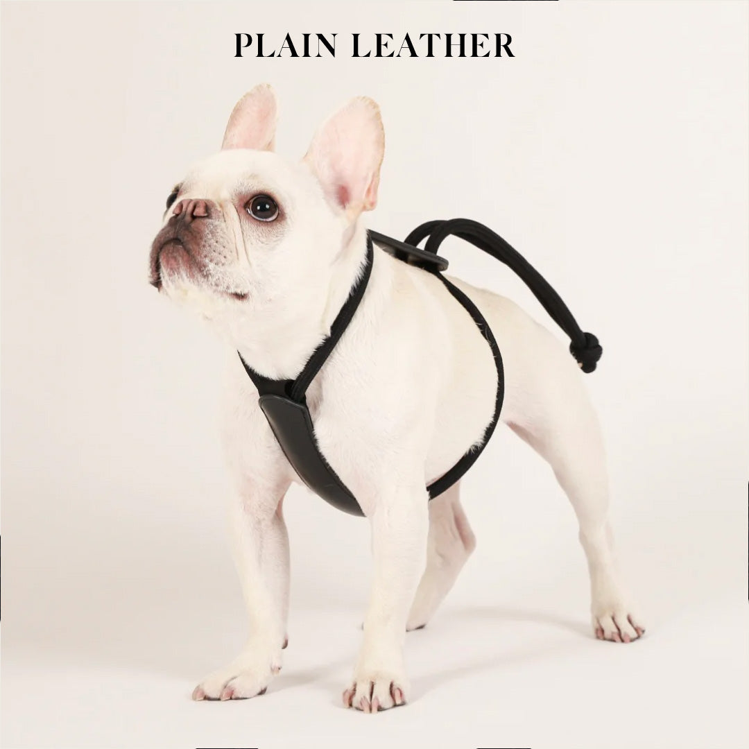Essential Harness - Black – Hozi US