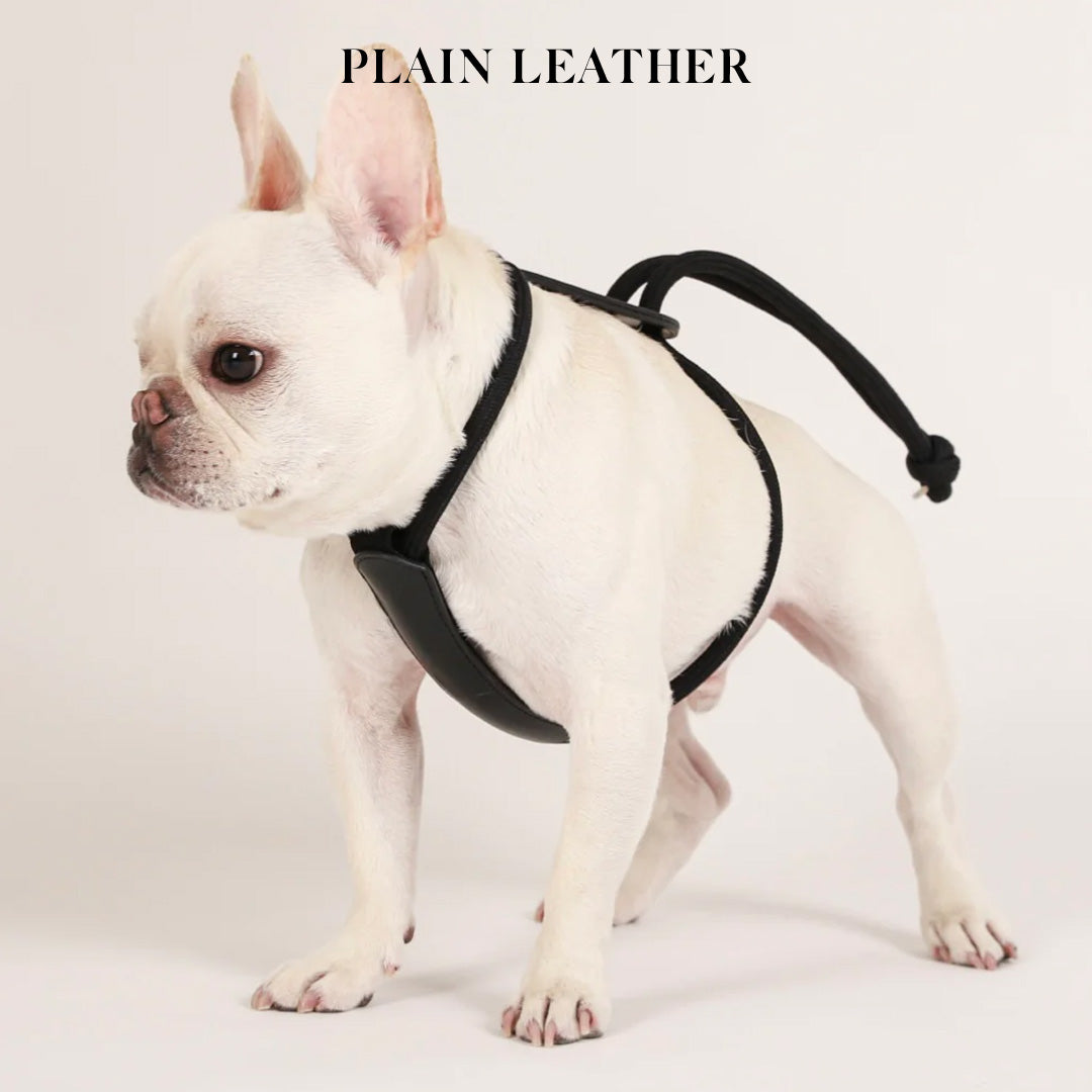 HOZI SEOUL Essential Harness ピンク XS Essential Harness - Black – Hozi US