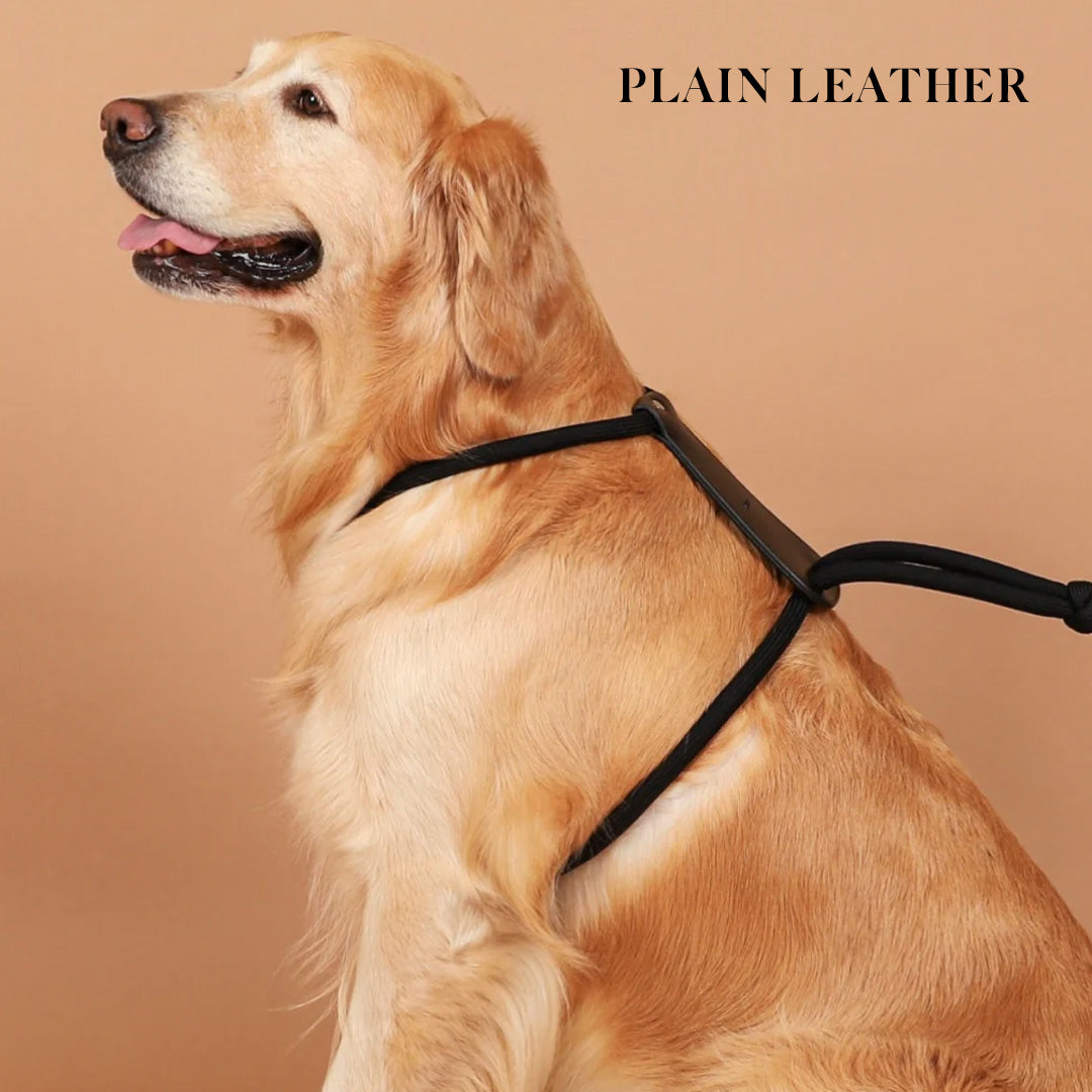 Essential Harness - Black – Hozi US