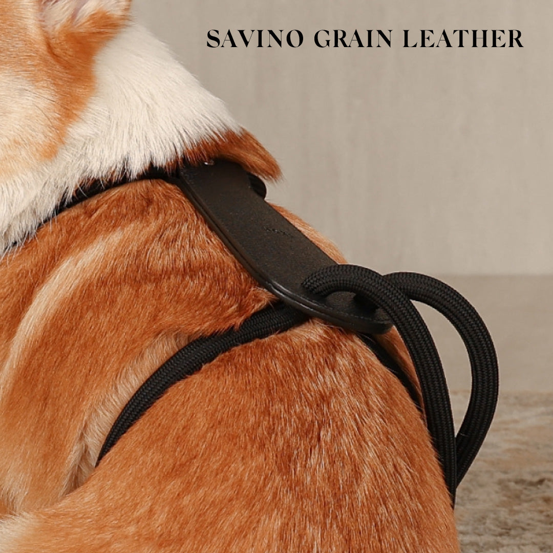 Essential Harness - Black – Hozi US